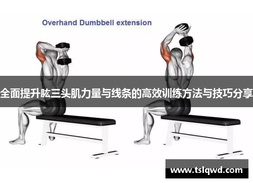 全面提升肱三头肌力量与线条的高效训练方法与技巧分享